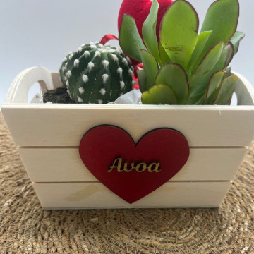 Cesta cactus
